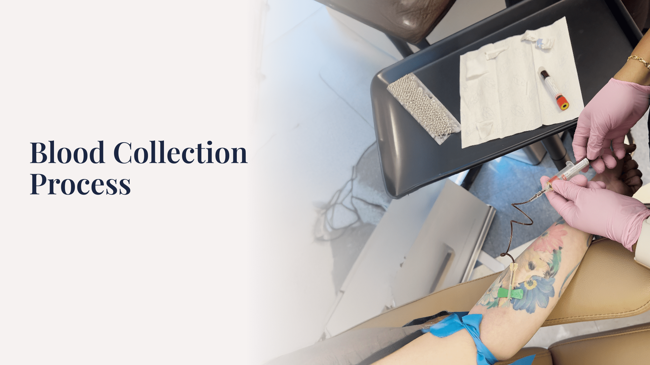 Blood Collection Process